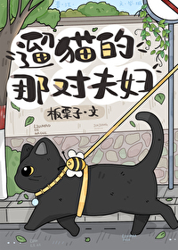 遛猫对猫的好处