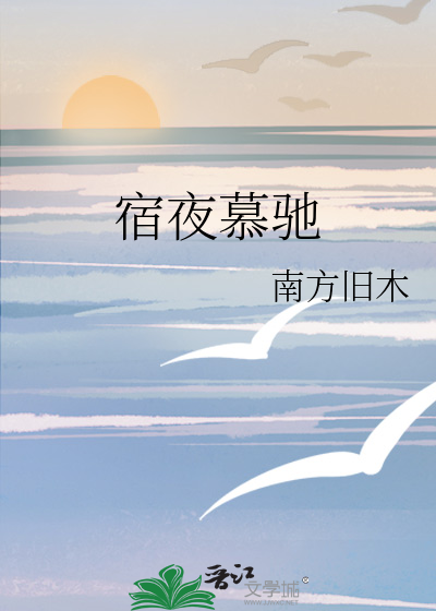 宿夜慕驰
