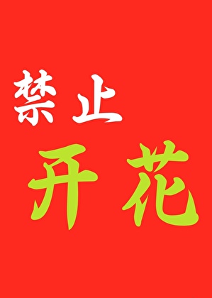 你先别开花！（哨向）