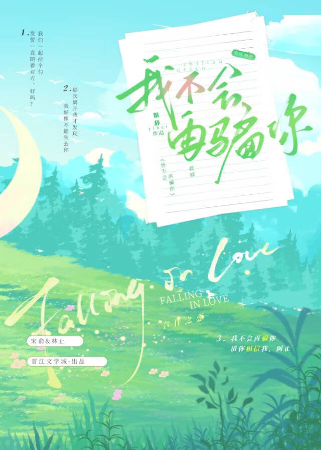 我不会再骗你
