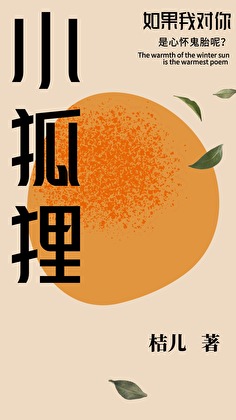 小狐狸