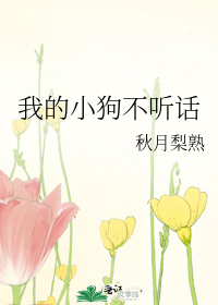 我的小狗不听话