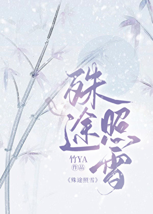 殊途照雪